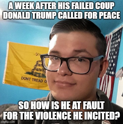 Oblivious White Supremacist | A WEEK AFTER HIS FAILED COUP DONALD TRUMP CALLED FOR PEACE; SO HOW IS HE AT FAULT FOR THE VIOLENCE HE INCITED? | image tagged in oblivious white supremacist | made w/ Imgflip meme maker