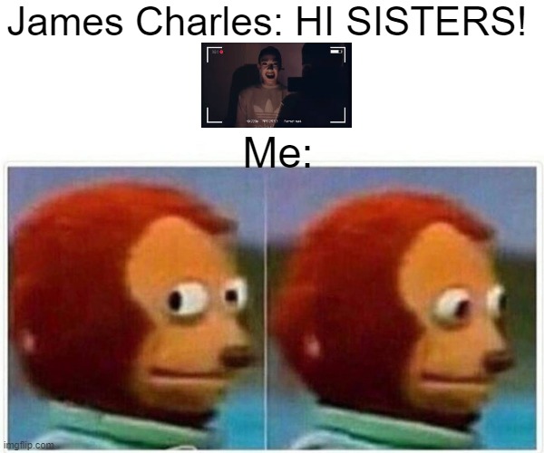 James Charles be like | James Charles: HI SISTERS! Me: | image tagged in memes,monkey puppet,james charles,funny,funny memes,imgflip | made w/ Imgflip meme maker