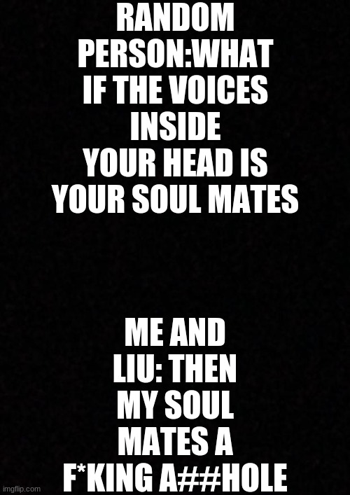 lol | RANDOM PERSON:WHAT IF THE VOICES INSIDE YOUR HEAD IS YOUR SOUL MATES; ME AND LIU: THEN MY SOUL MATES A F*KING A##HOLE | image tagged in blank | made w/ Imgflip meme maker