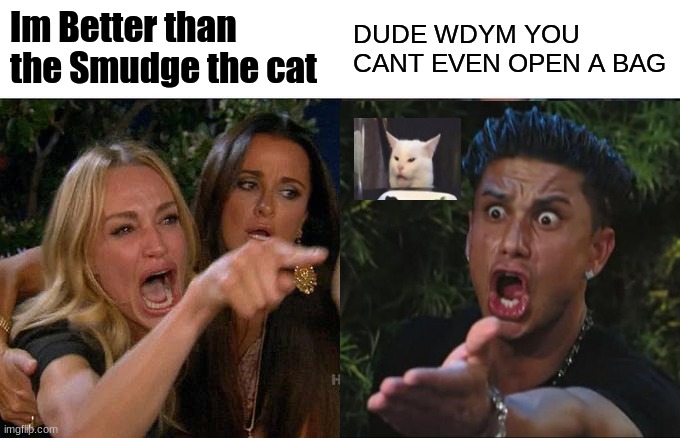 Yep Dj Pauly D is right you know | Im Better than the Smudge the cat; DUDE WDYM YOU CANT EVEN OPEN A BAG | image tagged in dj pauly d,karen,smudge the cat | made w/ Imgflip meme maker