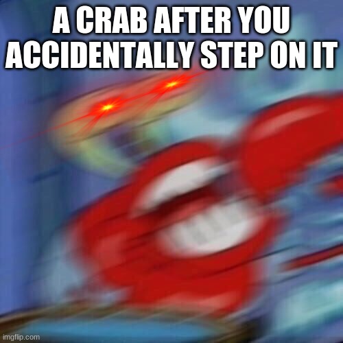 crabs | A CRAB AFTER YOU ACCIDENTALLY STEP ON IT | image tagged in mr krabs blur | made w/ Imgflip meme maker