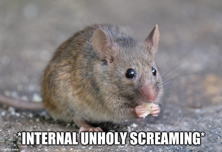 Internal unholy screaming | image tagged in internal unholy screaming | made w/ Imgflip meme maker