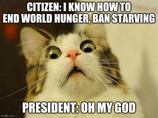 Scared Cat | CITIZEN: I KNOW HOW TO END WORLD HUNGER, BAN STARVING; PRESIDENT: OH MY GOD | image tagged in memes,scared cat | made w/ Imgflip meme maker