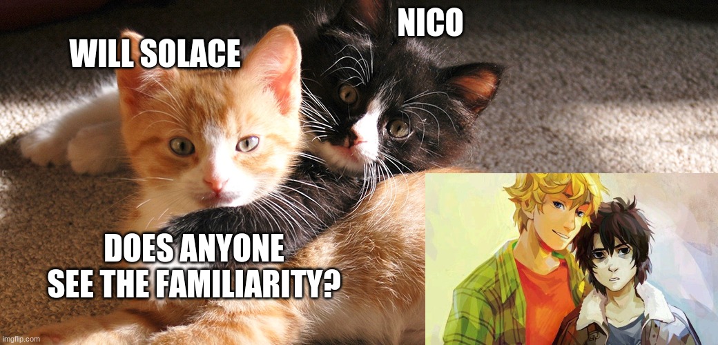 Will Solace and Nico | WILL SOLACE; NICO; DOES ANYONE SEE THE FAMILIARITY? | image tagged in percy jackson,cats | made w/ Imgflip meme maker