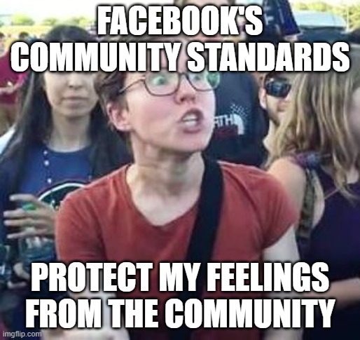 impeach drumpf angry liberal | FACEBOOK'S COMMUNITY STANDARDS; PROTECT MY FEELINGS FROM THE COMMUNITY | image tagged in impeach drumpf angry liberal | made w/ Imgflip meme maker