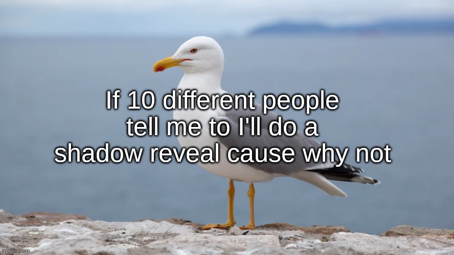 :| | If 10 different people tell me to I'll do a shadow reveal cause why not | image tagged in s e a g u l l | made w/ Imgflip meme maker