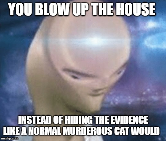 SMORT | YOU BLOW UP THE HOUSE INSTEAD OF HIDING THE EVIDENCE LIKE A NORMAL MURDEROUS CAT WOULD | image tagged in smort | made w/ Imgflip meme maker