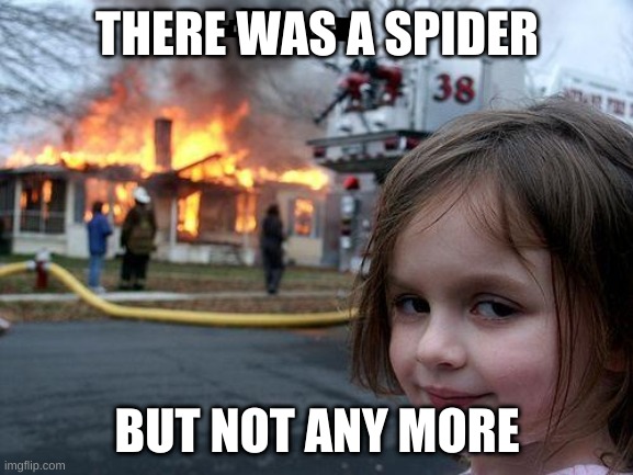 Disaster Girl Meme | THERE WAS A SPIDER; BUT NOT ANY MORE | image tagged in memes,disaster girl | made w/ Imgflip meme maker