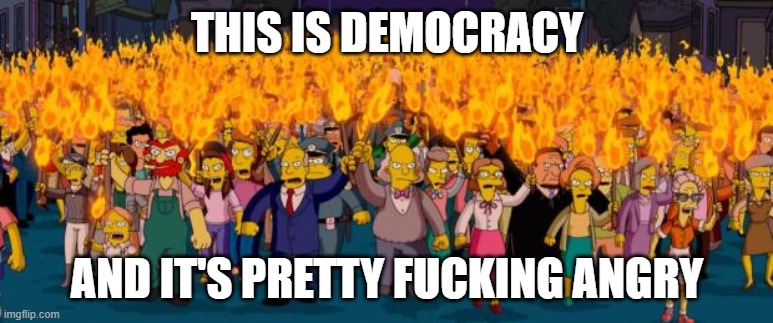 Simpsons angry mob torches | THIS IS DEMOCRACY; AND IT'S PRETTY FUCKING ANGRY | image tagged in simpsons angry mob torches | made w/ Imgflip meme maker