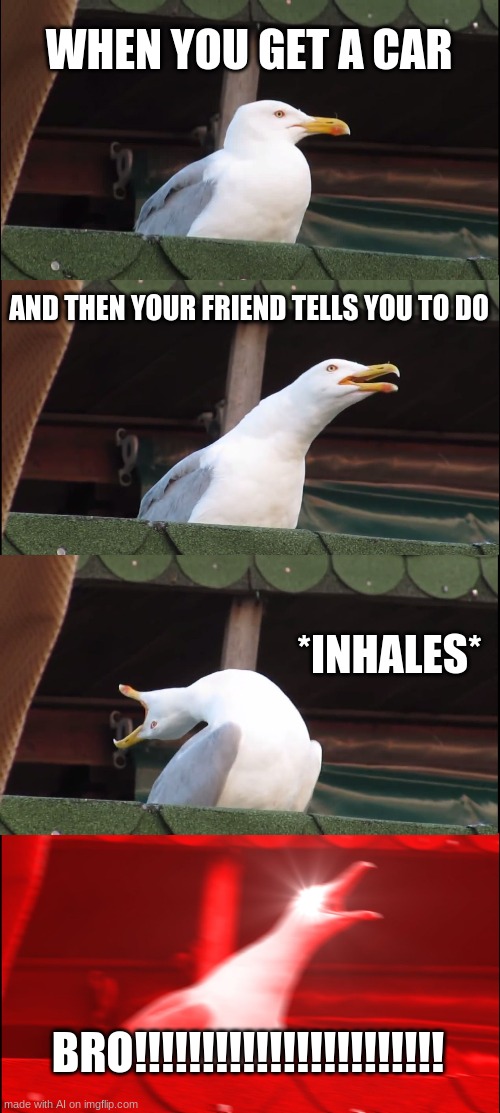 Inhaling Seagull |  WHEN YOU GET A CAR; AND THEN YOUR FRIEND TELLS YOU TO DO; *INHALES*; BRO!!!!!!!!!!!!!!!!!!!!!!! | image tagged in memes,inhaling seagull | made w/ Imgflip meme maker