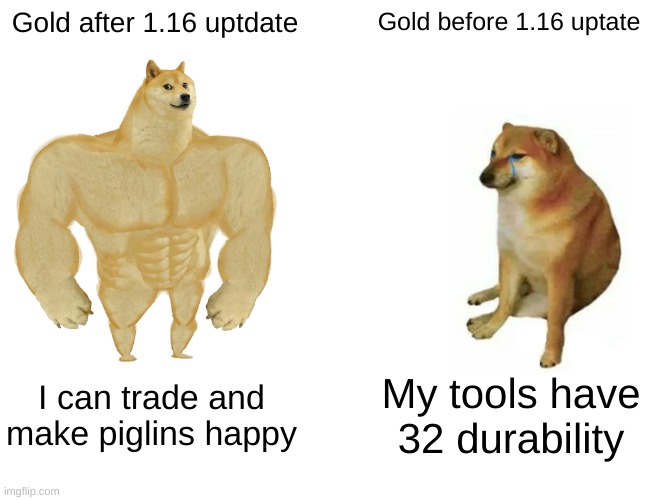 Buff Doge vs. Cheems Meme | Gold after 1.16 uptdate; Gold before 1.16 uptate; I can trade and make piglins happy; My tools have 32 durability | image tagged in memes,buff doge vs cheems | made w/ Imgflip meme maker