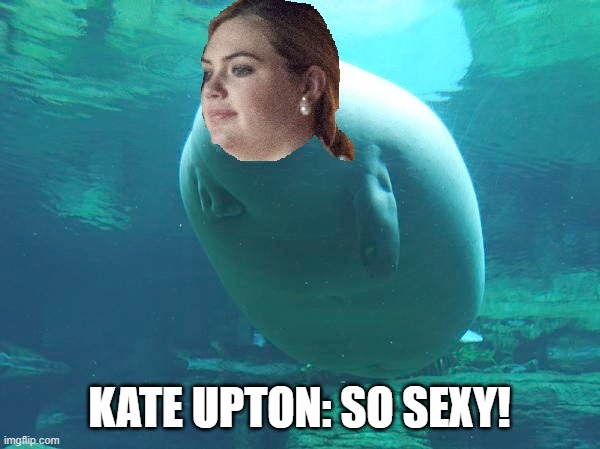KATE UPTON: SO SEXY! | made w/ Imgflip meme maker