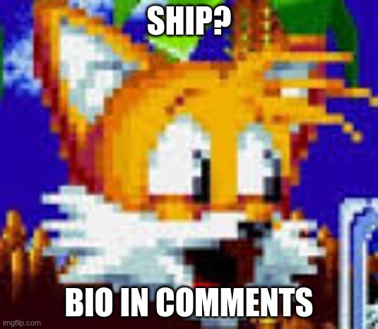 someone disabled the comments last time (why) | SHIP? BIO IN COMMENTS | image tagged in tails pog,memes | made w/ Imgflip meme maker