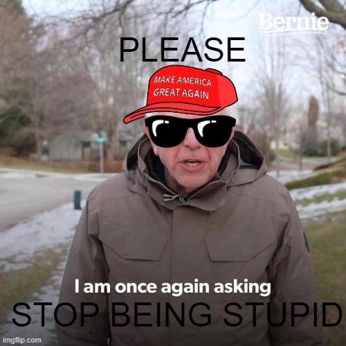 Bernie I Am Once Again Asking For Your Support | PLEASE; STOP BEING STUPID | image tagged in memes,bernie i am once again asking for your support | made w/ Imgflip meme maker