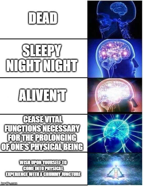 smort bran | DEAD; SLEEPY NIGHT NIGHT; ALIVEN'T; CEASE VITAL FUNCTIONS NECESSARY FOR THE PROLONGING OF ONE'S PHYSICAL BEING; WISH UPON YOURSELF TO COME INTO PHYSICAL EXPERIENCE WITH A CRUMMY JUNCTURE | image tagged in expanding brain 5 panel | made w/ Imgflip meme maker
