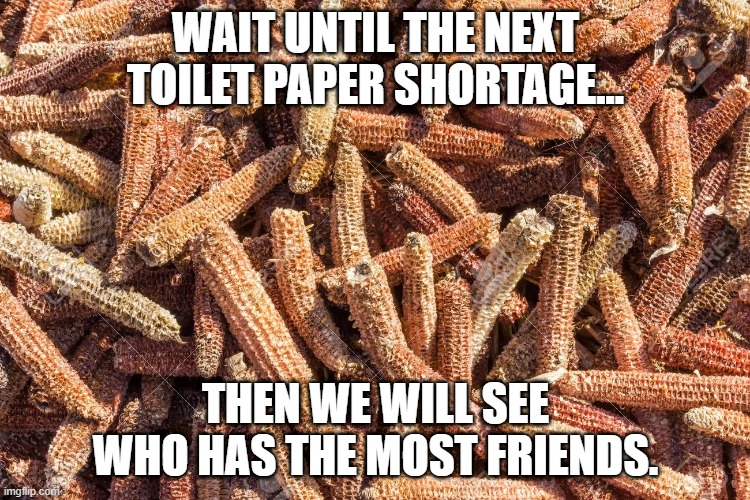 toilet paper |  WAIT UNTIL THE NEXT TOILET PAPER SHORTAGE... THEN WE WILL SEE WHO HAS THE MOST FRIENDS. | image tagged in no more toilet paper,toilet paper,shortage,corncob,friendship | made w/ Imgflip meme maker