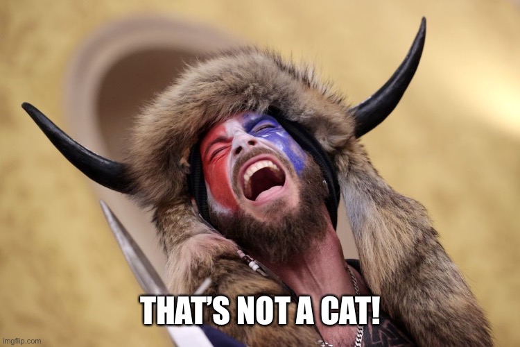 THAT’S NOT A CAT! | made w/ Imgflip meme maker