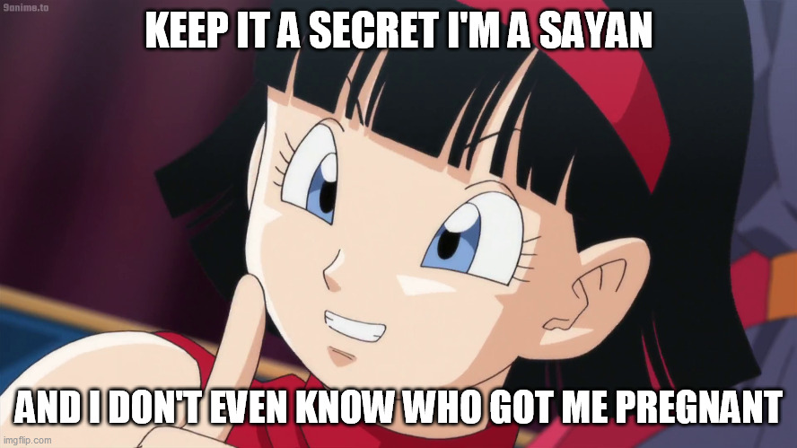 Videl | KEEP IT A SECRET I'M A SAYAN; AND I DON'T EVEN KNOW WHO GOT ME PREGNANT | image tagged in videl | made w/ Imgflip meme maker