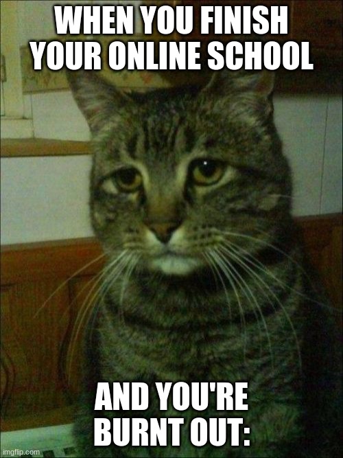 Depressed Cat Meme | WHEN YOU FINISH YOUR ONLINE SCHOOL; AND YOU'RE BURNT OUT: | image tagged in memes,depressed cat | made w/ Imgflip meme maker