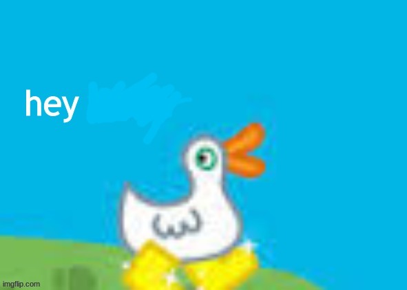 hey bitch duck | image tagged in hey bitch duck | made w/ Imgflip meme maker