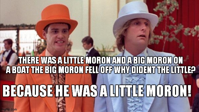 dumb and dumber | THERE WAS A LITTLE MORON AND A BIG MORON ON A BOAT THE BIG MORON FELL OFF WHY DIDENT THE LITTLE? BECAUSE HE WAS A LITTLE MORON! | image tagged in dumb and dumber | made w/ Imgflip meme maker