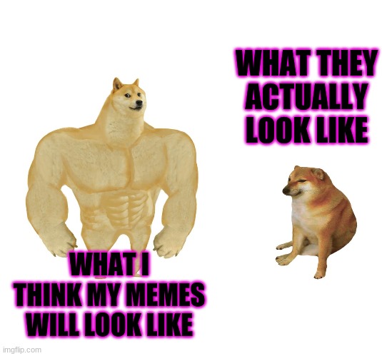 My memes | WHAT THEY ACTUALLY LOOK LIKE; WHAT I THINK MY MEMES WILL LOOK LIKE | image tagged in doge,strong doge weak doge,funny memes | made w/ Imgflip meme maker