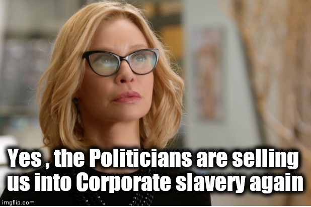 Callista Flockhart | Yes , the Politicians are selling 
us into Corporate slavery again | image tagged in callista flockhart | made w/ Imgflip meme maker