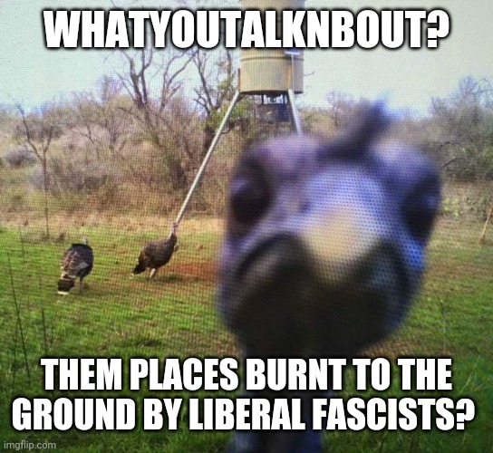 Jiveass Turkey | WHATYOUTALKNBOUT? THEM PLACES BURNT TO THE GROUND BY LIBERAL FASCISTS? | image tagged in jiveass turkey | made w/ Imgflip meme maker