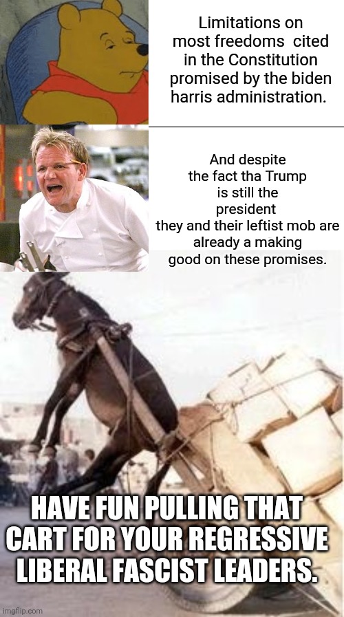 Limitations on most freedoms  cited in the Constitution promised by the biden harris administration. And despite the fact tha Trump is still | image tagged in memes,tuxedo winnie the pooh,overloaded donkey | made w/ Imgflip meme maker