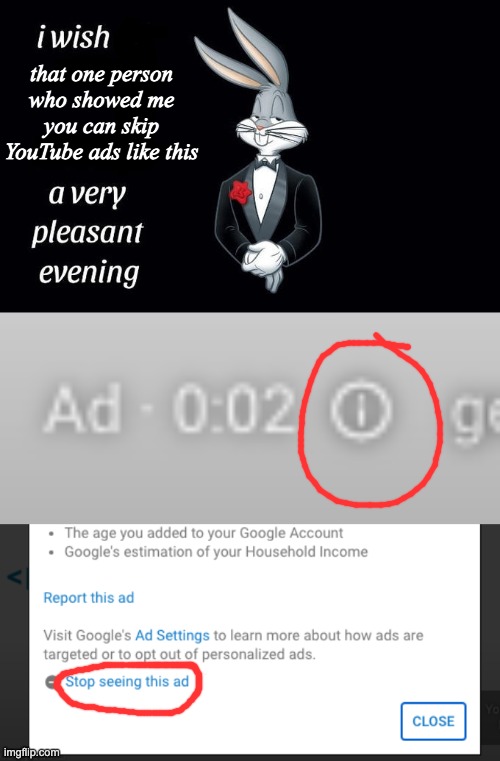  that one person who showed me you can skip YouTube ads like this | image tagged in i wish all the x a very pleasant evening | made w/ Imgflip meme maker