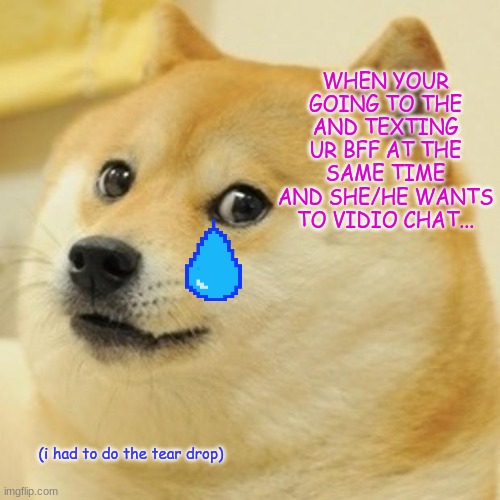 i had to add the tear drop lol | WHEN YOUR GOING TO THE AND TEXTING UR BFF AT THE SAME TIME AND SHE/HE WANTS TO VIDIO CHAT... (i had to do the tear drop) | image tagged in memes,doge | made w/ Imgflip meme maker