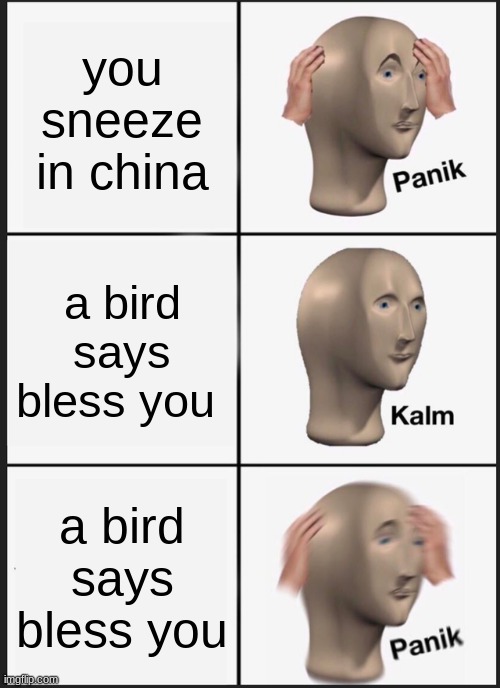 Panik Kalm Panik Meme | you sneeze in china; a bird says bless you; a bird says bless you | image tagged in memes,panik kalm panik | made w/ Imgflip meme maker