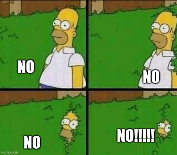Homer Simpson Nope | NO NO NO NO!!!!! | image tagged in homer simpson nope | made w/ Imgflip meme maker