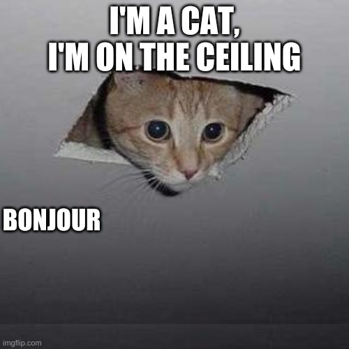 Ceiling Cat Meme | I'M A CAT, I'M ON THE CEILING; BONJOUR | image tagged in memes,ceiling cat | made w/ Imgflip meme maker