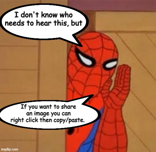 For your "Make this shareable" friends |  If you want to share an image you can right click then copy/paste. | image tagged in spider man i don't know who needs to hear this | made w/ Imgflip meme maker