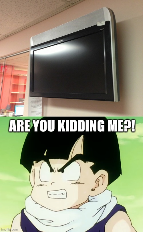 OMG! Why?! | ARE YOU KIDDING ME?! | image tagged in jealousy gohan dbz namek,you had one job,tv,funny,task failed successfully,upside down | made w/ Imgflip meme maker