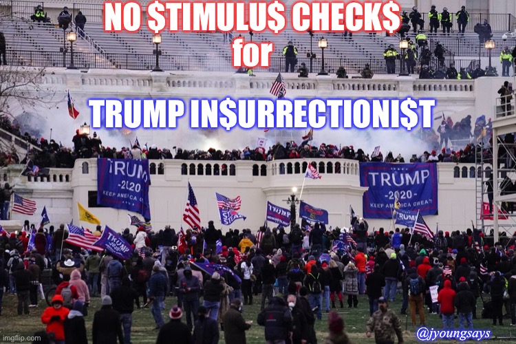 Stimulus Checks | NO $TIMULU$ CHECK$
for; TRUMP IN$URRECTIONI$T; @jyoungsays | image tagged in stimulus,trump,capitol hill,terrorist | made w/ Imgflip meme maker