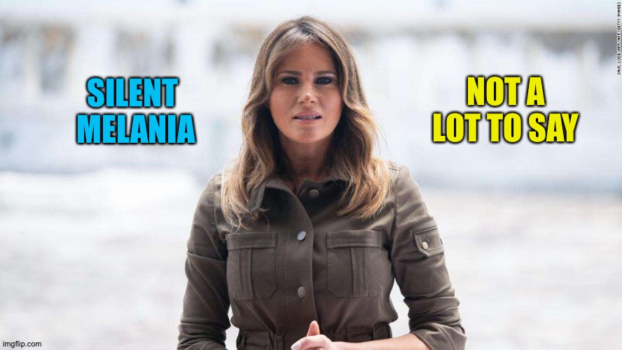Been quiet lately | NOT A LOT TO SAY; SILENT 
MELANIA | image tagged in melania | made w/ Imgflip meme maker