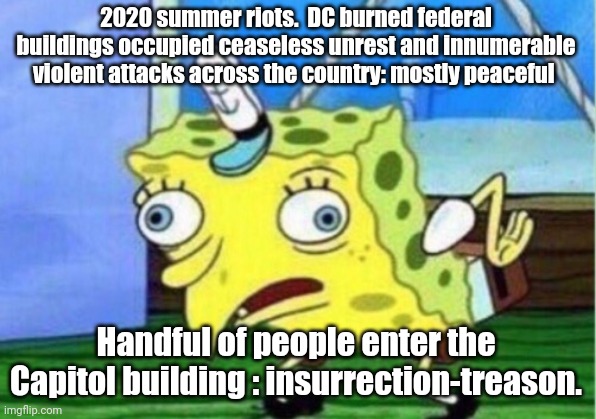 Mocking Spongebob Meme | 2020 summer riots.  DC burned federal buildings occupied ceaseless unrest and innumerable violent attacks across the country: mostly peacefu | image tagged in memes,mocking spongebob | made w/ Imgflip meme maker