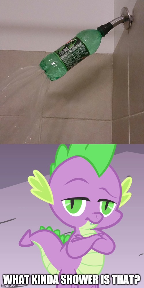 Even they use this as a shower. | WHAT KINDA SHOWER IS THAT? | image tagged in disappointed spike mlp,you had one job,funny,design fails,task failed successfully,shower | made w/ Imgflip meme maker