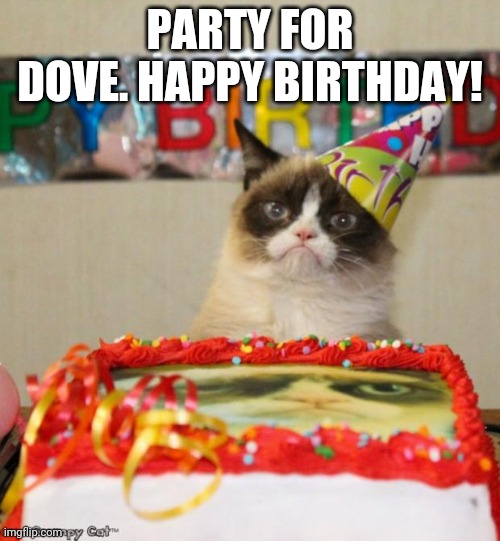 Grumpy Cat Birthday Meme | PARTY FOR DOVE. HAPPY BIRTHDAY! | image tagged in memes,grumpy cat birthday,grumpy cat | made w/ Imgflip meme maker