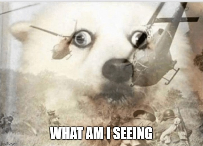 PTSD dog | WHAT AM I SEEING | image tagged in ptsd dog | made w/ Imgflip meme maker