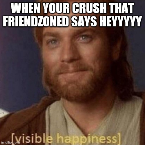 Visible Happiness | WHEN YOUR CRUSH THAT FRIENDZONED SAYS HEYYYYY | image tagged in visible happiness | made w/ Imgflip meme maker