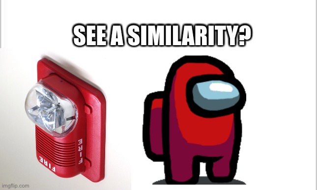 Look at that! | SEE A SIMILARITY? SEE A SIMILARITY? | image tagged in white background | made w/ Imgflip meme maker
