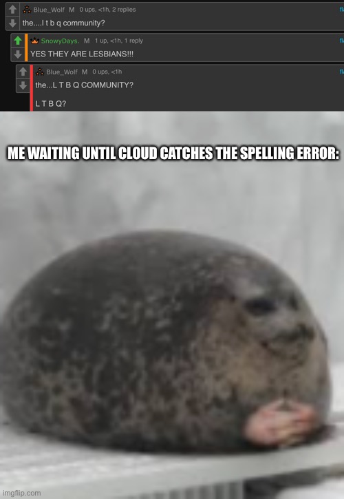 ME WAITING UNTIL CLOUD CATCHES THE SPELLING ERROR: | image tagged in waiting seal | made w/ Imgflip meme maker