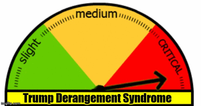 Generic Meter | Trump Derangement Syndrome | image tagged in generic meter | made w/ Imgflip meme maker