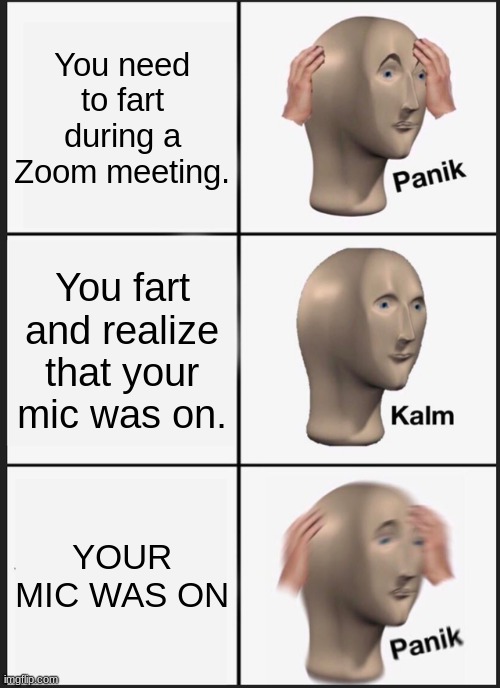 PANIK | You need to fart during a Zoom meeting. You fart and realize that your mic was on. YOUR MIC WAS ON | image tagged in memes,panik kalm panik | made w/ Imgflip meme maker