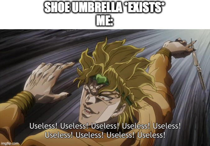 read the tags and... | SHOE UMBRELLA *EXISTS*
ME: | image tagged in useless,this is useless,useless stuff,useless fact of the day,random useless fact of the day | made w/ Imgflip meme maker
