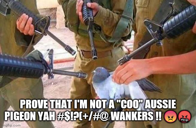 Covid Pigeon | PROVE THAT I'M NOT A "COO" AUSSIE PIGEON YAH #$!?(+/#@ WANKERS !! 😠🤬 | image tagged in covid,pigeon | made w/ Imgflip meme maker