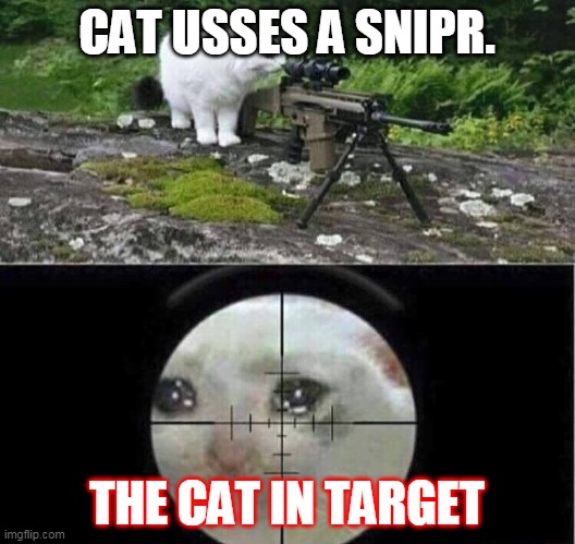 Sniper cat | CAT USSES A SNIPR. THE CAT IN TARGET | image tagged in sniper cat | made w/ Imgflip meme maker